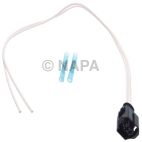 Vapor Canister Purge Solenoid Connector