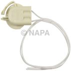Combination Light Socket