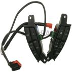 Cruise Control Switch