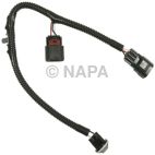Side Marker Light Socket