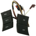 Cruise Control Switch