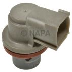 Turn Signal Light Socket