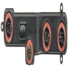 Combination Light Socket