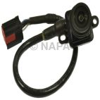 Park Assist Camera