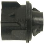 Back Up Light Socket