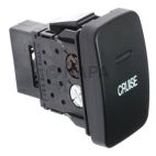 Cruise Control Switch