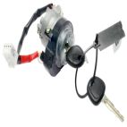 Ignition Lock Cylinder