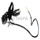 Cruise Control Switch