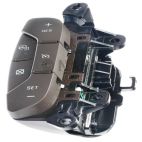 Cruise Control Switch