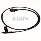 Engine Crankshaft Position Sensor