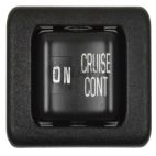 Cruise Control Switch