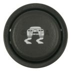 Traction Control Switch