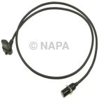 Engine Crankshaft Position Sensor