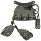 Cruise Control Switch