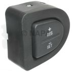 Cruise Control Switch