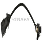 Engine Crankshaft Position Sensor