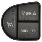 Cruise Control Switch