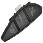 Cruise Control Switch