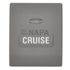 Cruise Control Switch