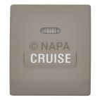 Cruise Control Switch