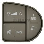 Cruise Control Switch