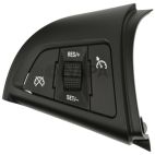 Cruise Control Switch