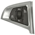 Cruise Control Switch