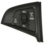 Cruise Control Switch