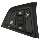 Cruise Control Switch