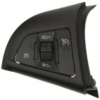 Cruise Control Switch