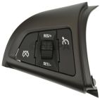 Cruise Control Switch