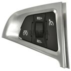 Cruise Control Switch