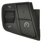 Cruise Control Switch