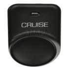 Cruise Control Switch