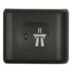 Cruise Control Switch