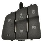 Cruise Control Switch