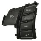 Cruise Control Switch