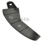 Cruise Control Switch