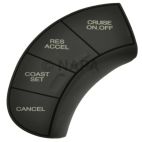Cruise Control Switch