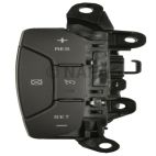 Cruise Control Switch