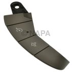Cruise Control Switch