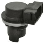 Fog Light Socket