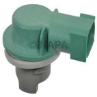 Back Up Light Socket