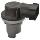 Brake Light Socket