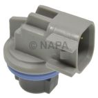 Back Up Light Socket