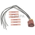 Exhaust Gas Recirculation (EGR) Valve Connector