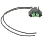 Fog Light Socket