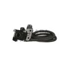 Park Assist Camera