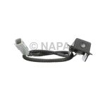 Park Assist Camera