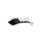 Park Assist Camera